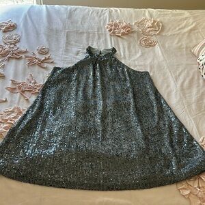 Loft sequin dress